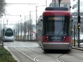 Tramway stadler tango  rhnexpress