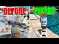 Dunlin Condiment Bottle Holder Review 2026