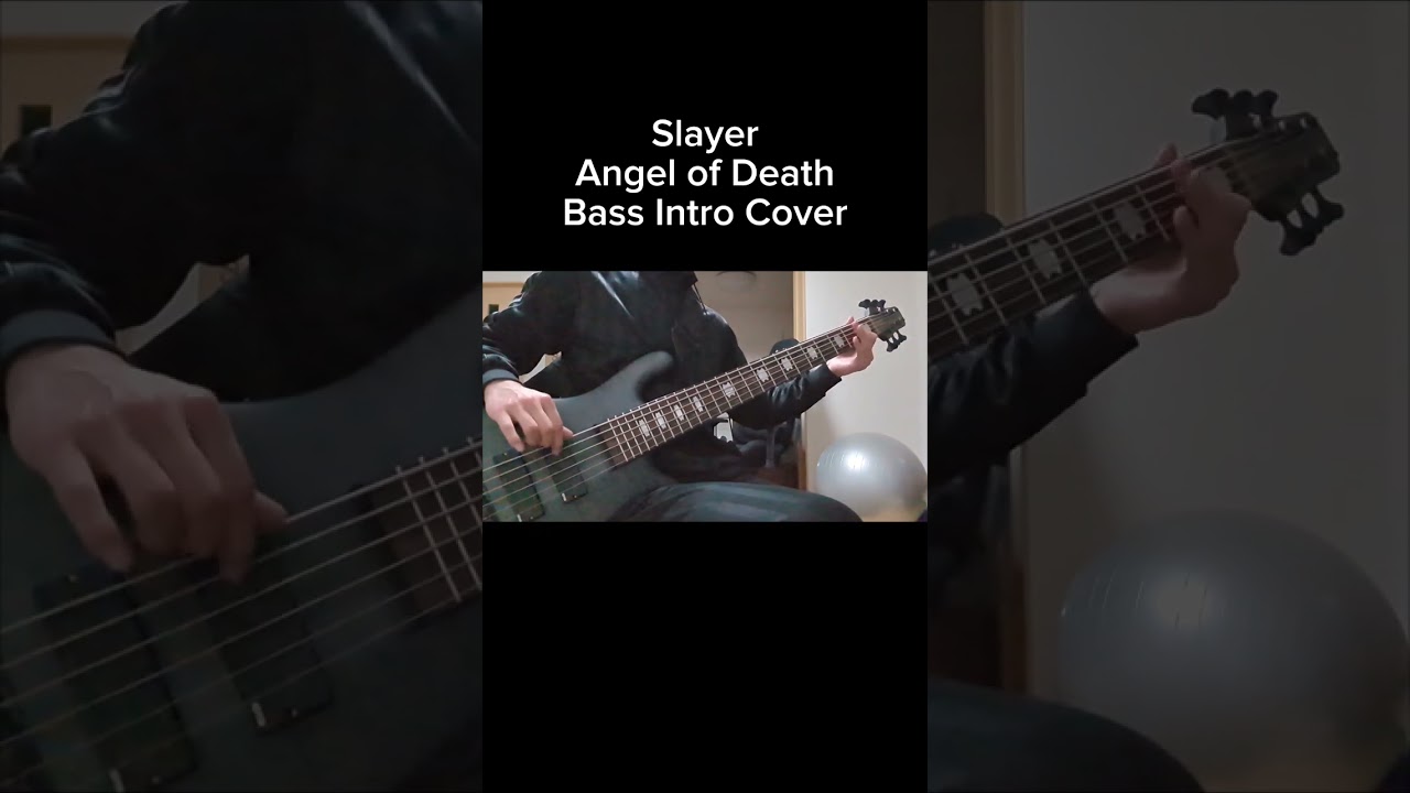 Slayer - Angel of Death 【Bass Intro Cover】