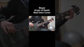 Download Lagu Slayer - Angel of Death 【Bass Intro Cover】#slayer #angelofdeath #bass #basscover #metal #metalcover MP3