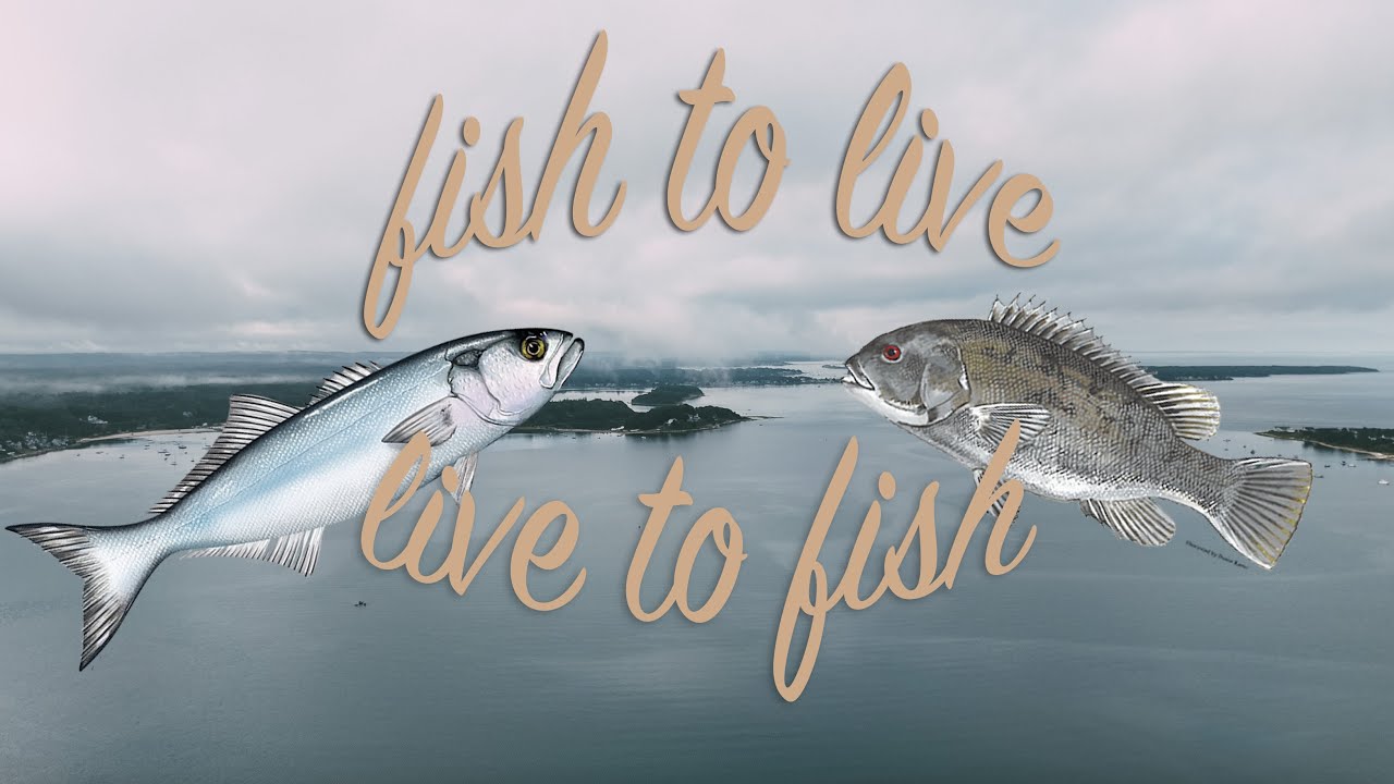 New England Summer Kayak Fishing…