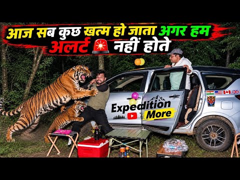 Tigress रोज़ अपने शावकों के साथ इसी जंगल में घूमती है | एक गलती और सब कुछ ख़त्म 🫢 | Camping In India