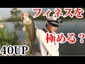 バス釣り　フィネスを極める！スピニング縛りで40UP