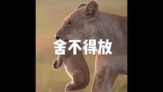 201401 舍不得放30650