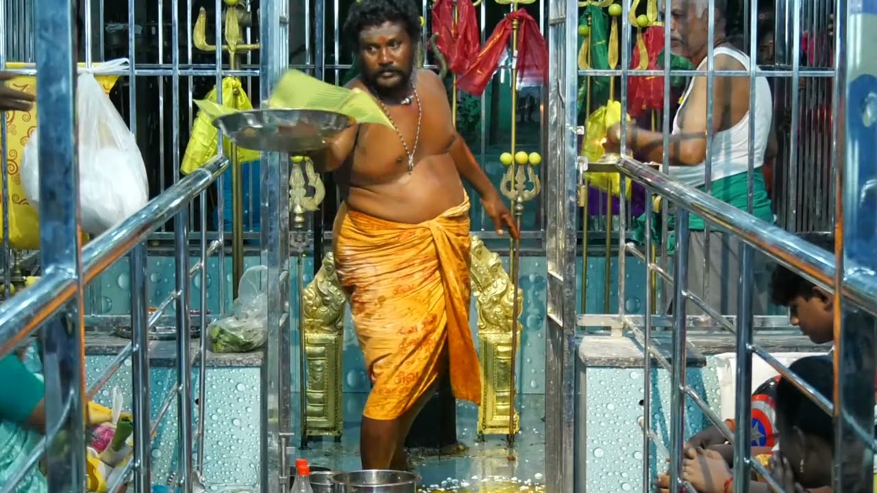 பொட்டகவயல் ஸ்ரீ நந்தன் திடல் முனீஸ்வரர் ஆலய மகா சிவராத்திரி மற்றும் திருவிளக்கு பூஜை 2025.