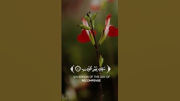 سورة الفاتحة | للقارئ ماهر المعيقلي🦋  #reels