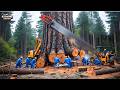 Extreme Dangerous Fastest Big Chainsaw Cutting Tree Machines Biggest Heavy Machinery Machines #16