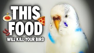 Top 10 Vegetables \& Fruits That Will Kill Your Bird