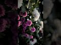 NEW REEL 2024 WEDDING DECORE\\ RK Digital Studio