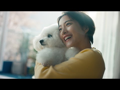 石原さとみ、モフモフの愛犬抱っこ！ペット愛が暴走!?／NTTドコモCM