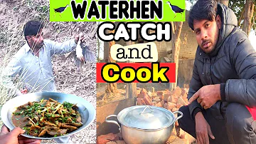 Waterhen Catch And Cook 🥘