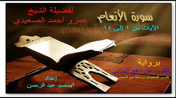 سورة الأنعام للشيخ عمرو أحمد الصعيدي