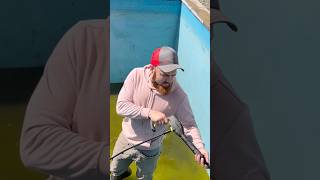 #go #chemicalbrothers #kärcher #pool #washing #apex #вершина #fun viral #top #like #life #vlog #rec