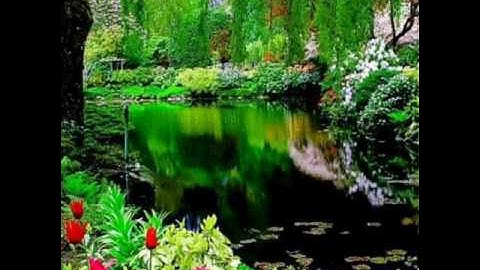 سورة البينة للقارئ الشيخ عادل ريان