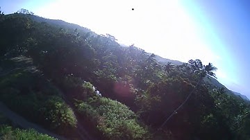 Wizard X220 - Butterflight 3.6.6 test flight