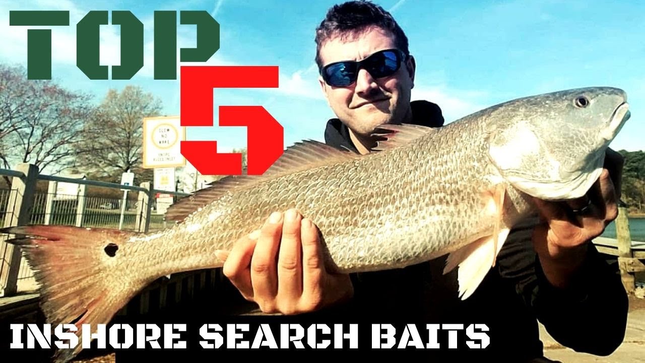 Top 5 SEARCH BAITS for INSHORE FISHING - HOW TO find MORE FISH NOW! 