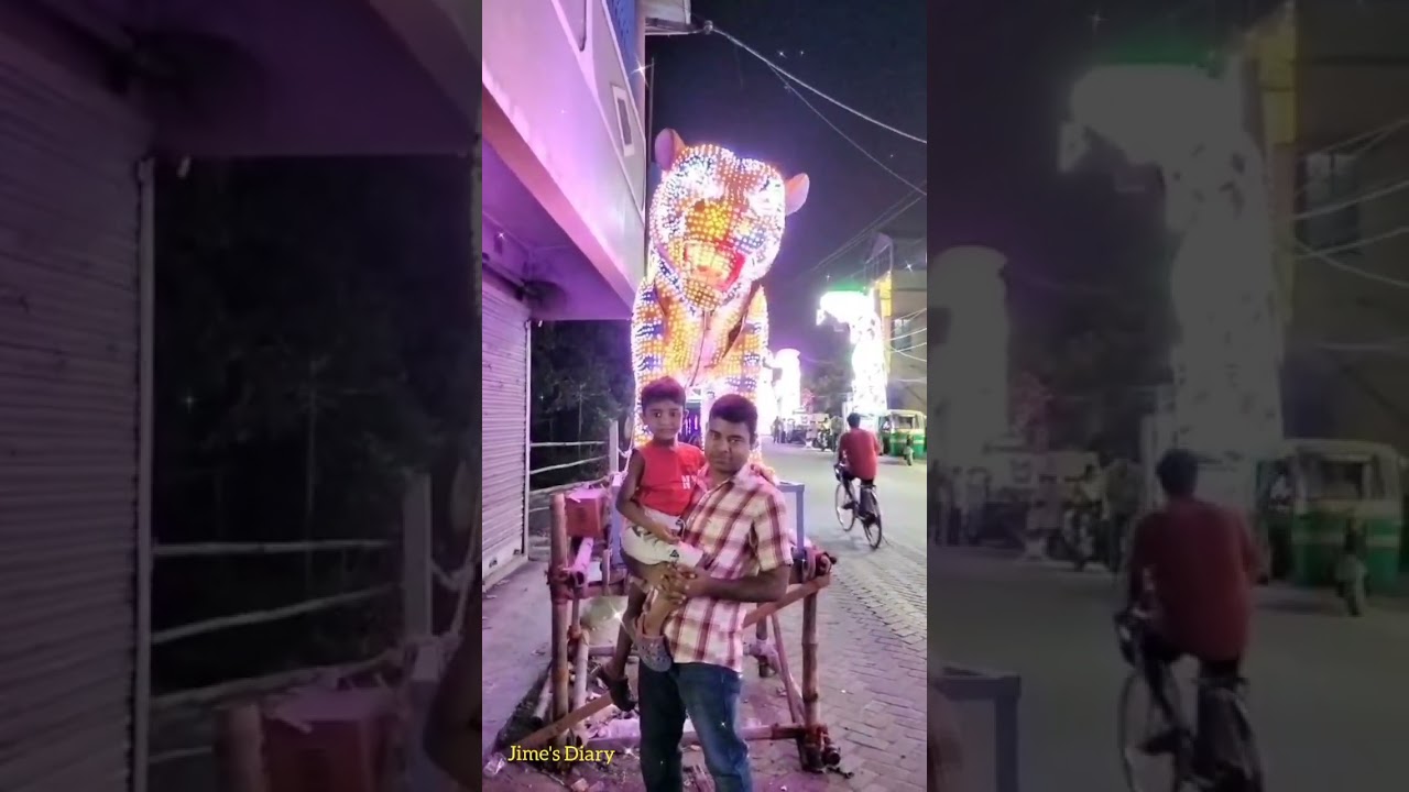 Went to the jime to see tigers and kangaroos 