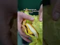 Der älteste McDonalds der Welt😳 #mcdonalds #cheeseburger #shorts