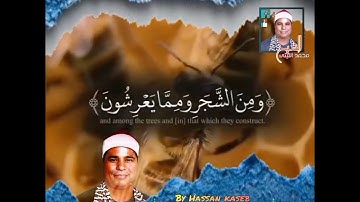 خشوع وطمأنينة..من سوره النحل الشيخ محمد الليثى