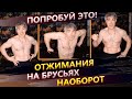 Супер упражнение! Отжимания на брусьях обратным хватом