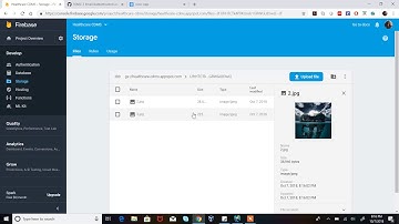 Ionic 3 Email Authentication and Firebase Storage
