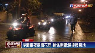 沙灘車夜探梅花鹿動保團體批：破壞生態－民視新聞