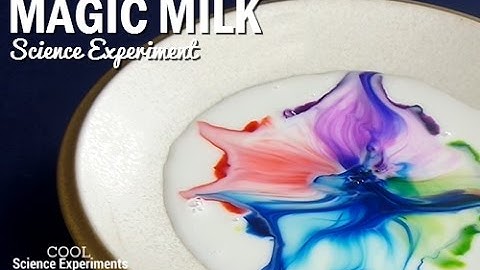 Magic Milk Science Experiment