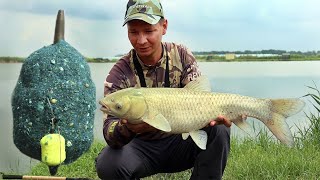 видео: Забросил эту кормушку с синим кормом, поймал и амура и карпа, рыбалка на сазана, рыбы тут много картинка: Забросил эту кормушку с синим кормом, поймал и амура и карпа, рыбалка на сазана, рыбы тут много