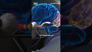 سرعة رد الفعل 🧠💪 #shorts screenshot 2