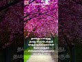 சங்கீதம் 147:11 |Psalm 147:11|தமது கிருபைக்குக் காத்திருக்கிறவர்கள்மேல் கர்த்தர் பிரியமாயிருக்கிறார்