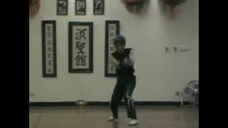 Master Chen Yong Fa techniques from Five Wheel Fist 陳永發師傳練習基本功-五輪捶