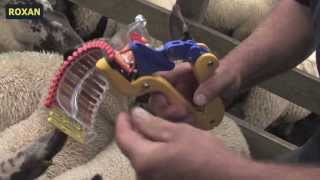 Roxan Tag Fasteners