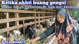 Tangguh, Wanita Mampu Sendirian Urus Kambing Puluhan Ekor