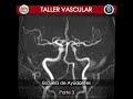 Taller Vascular PT. 3