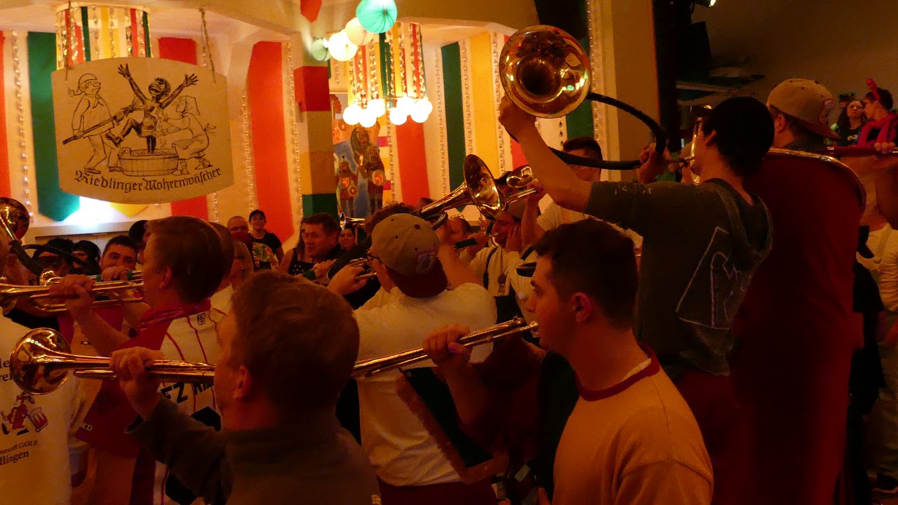 FZ der Narrenzunft Gole beim Zunftball 2019 in Riedlingen 3. Video