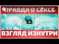 Вебинар &quot;ВСЯ ПРАВДА О СЕКСЕ - ВЗГЛЯД ИЗНУТРИ&quot;  Регресс в прямом эфире !