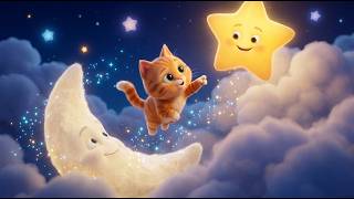 Twinkle Twinkle Little Star | Coco Tender | Cat fun with Stars