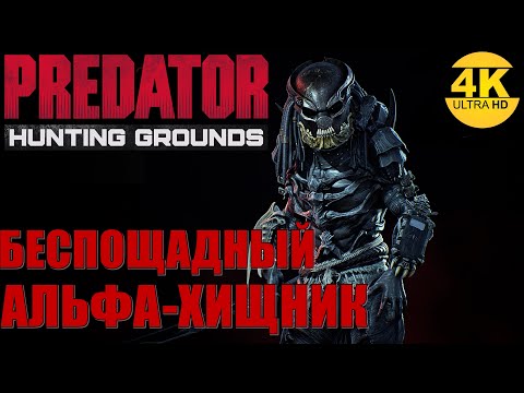 Video: Rovdyr: Hunting Grounds Review - Et Spild Af Spildt Materiale