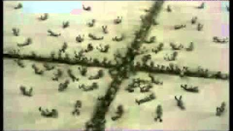 Nước tẩy rửa vệ sinh bồn cầu Vixol Thailand