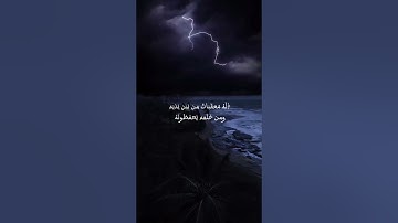 سورة الرعد بصوت القارئ ياسر الدوسري من 8 الى 13
