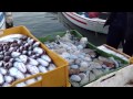 Mola di Bari - Rientro peschereccio