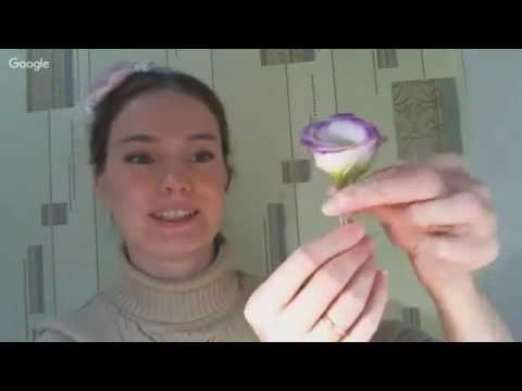сиреневая эустома из холодного фарфора - YouTube