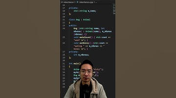C++ Inheritance