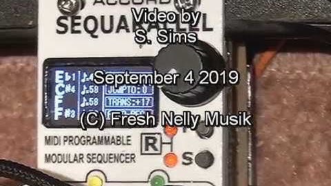 Sequarallel Sequencer Eurorack Module Tests 2