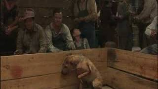 Video Thumbnail for Local Cast In Movie As A Dog Fighter