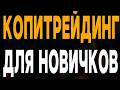 ИДУ К МИЛЛИОНУ ДОЛЛАРОВ В ЭФИРЕ!Прибыль 988$