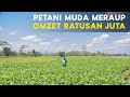 Keren, Petani Muda Lulusan Polbangtan Ini Raup Omzet Ratusan Juta Dari Ternak Domba dan Kedelai