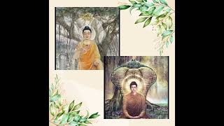 🎶🎶🌹🌹 Dr. B. R. Ambedkar 🌹🌹🎶🎶 screenshot 3