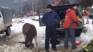 видео Новый год в Адыгее 2017