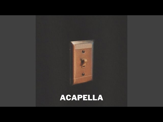 Charlie Puth - Light Switch (Acapella) class=